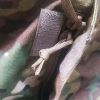 Сумка Трапнспортна - Multicam (ChipTac)